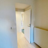 画像3333：001wine 大井町　イタリアワインの宝庫、大井町で楽しいひとときを