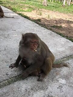 190626-1.jpg